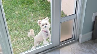 Pet door for sliding doors