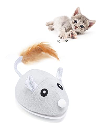 Petchain Interactive Cat Toy,...