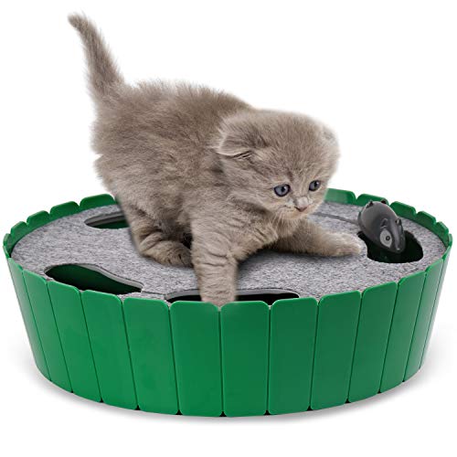 Pawaboo Interactive Cat Toy...