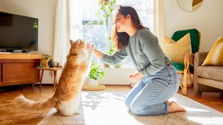 young woman kneeling in her living room and teaching her cat tricks
