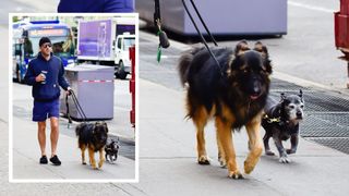 adorable pics of celebrities and their pets