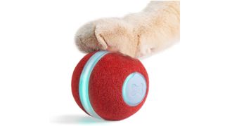 Cheerble Smart automated cat toy