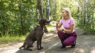 Woman training dog in forest