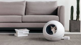 PetKit Cozy smart bed