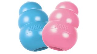 Kong Puppy Toy review