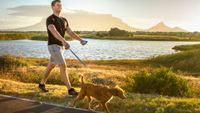 Man walking his dog by a lake